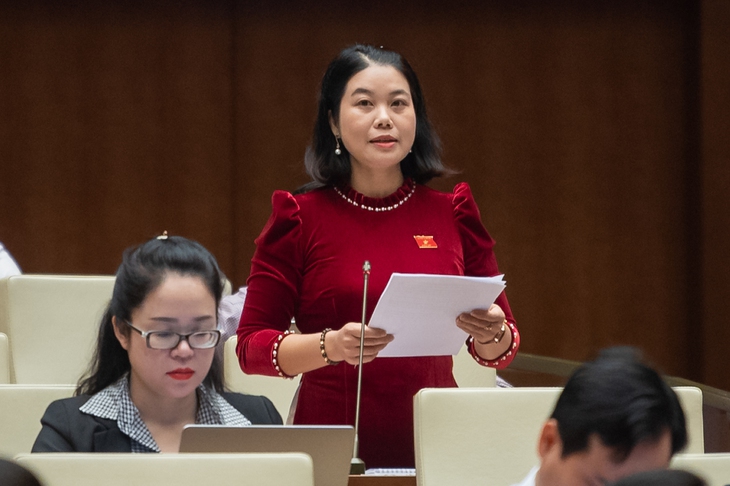ĐBQH đề xuất thiết kế cách tính có hỗ trợ, chia sẻ cho người có lương hưu quá thấp- Ảnh 1.