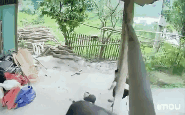 [VIDEO] Trâu điên húc gãy chân người đàn ông