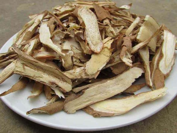Sâm cau chữa bệnh gì?- Ảnh 1. Sâm cau chữa bệnh gì?- Ảnh 1.