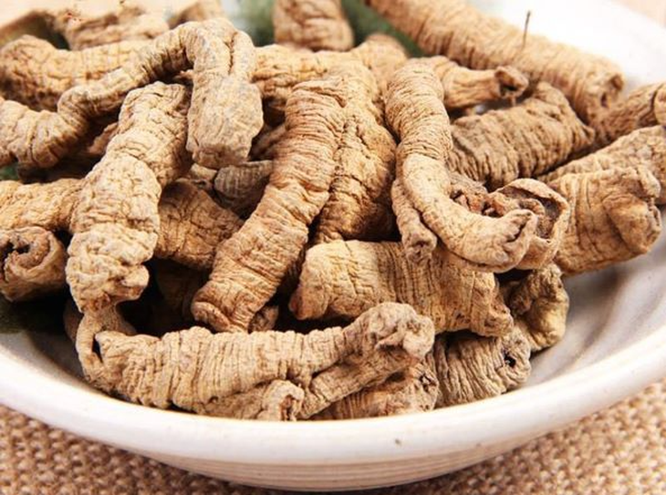 Sâm cau chữa bệnh gì?- Ảnh 3. Sâm cau chữa bệnh gì?- Ảnh 3.