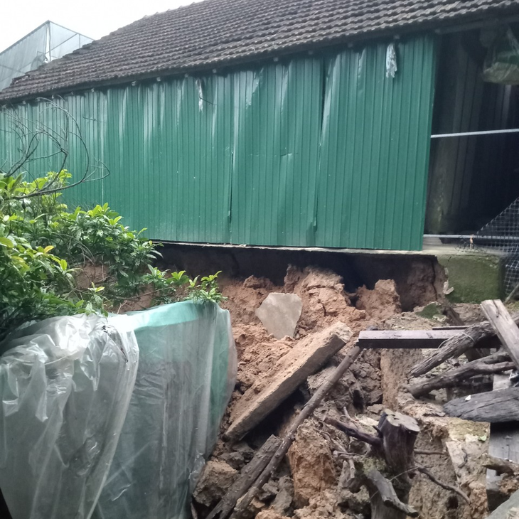 Xuất hiện hố tử thần 'nuốt chửng' vườn của người dân- Ảnh 3.