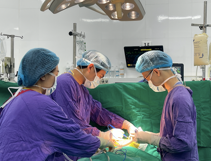 Ghép tạng Việt Nam ghi dấu ấn trở thành điểm sáng ghép tạng châu Á- Ảnh 1. Ghép tạng Việt Nam ghi dấu ấn trở thành điểm sáng ghép tạng châu Á- Ảnh 1.