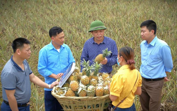 Tập huấn nâng cao năng lực cho cán bộ triển khai Chương trình MTQG 1719 ở các cấp- Ảnh 1. Tập huấn nâng cao năng lực cho cán bộ triển khai Chương trình MTQG 1719 ở các cấp- Ảnh 1.