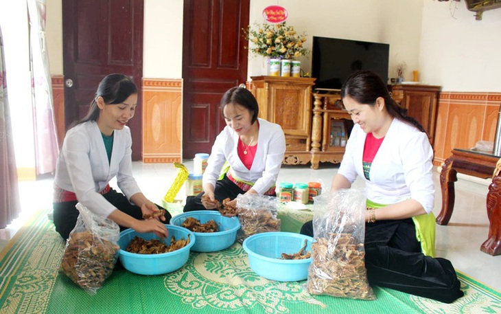 Phú Thọ thúc đẩy tinh thần khởi nghiệp trong đồng bào dân tộc thiểu số- Ảnh 1.