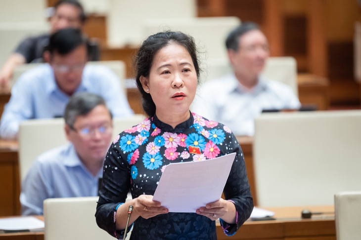 ĐBQH: Không nên dành tiền xây dựng những con đường 'đắt nhất hành tinh'- Ảnh 3.