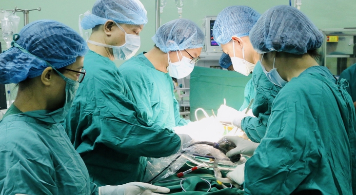 Thái Nguyên tăng cường đào tạo nguồn nhân lực chất lượng cao cho lĩnh vực y tế- Ảnh 2. Thái Nguyên tăng cường đào tạo nguồn nhân lực chất lượng cao cho lĩnh vực y tế- Ảnh 2.