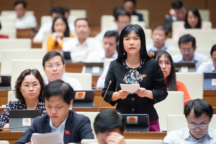 ĐBQH: Không nên dành tiền xây dựng những con đường 'đắt nhất hành tinh'- Ảnh 1.