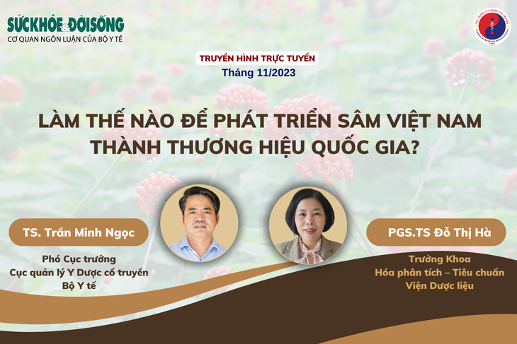 Truyền hình trực tuyến: Làm thế nào để phát triển sâm Việt Nam thành thương hiệu Quốc gia?- Ảnh 1.