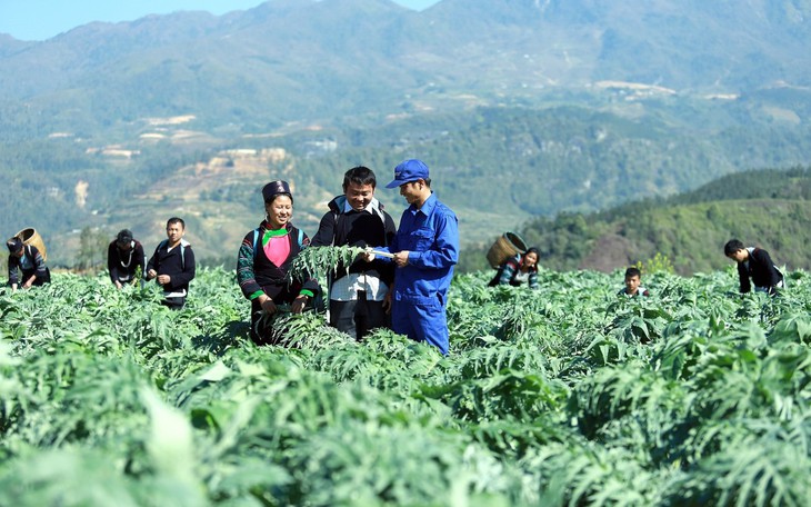 Nghiên cứu chuyên sâu về dược liệu GACP và quan điểm đầu tư nghiên cứu phát triển tại Traphaco