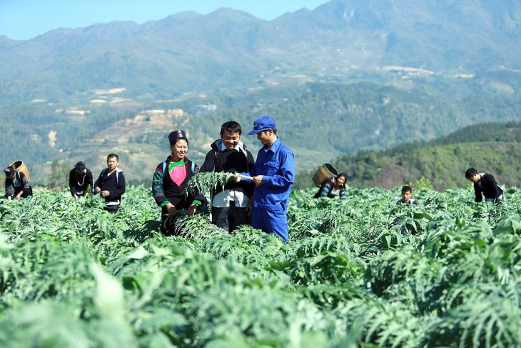 Nghiên cứu chuyên sâu về dược liệu GACP và quan điểm đầu tư nghiên cứu phát triển tại Traphaco- Ảnh 1.