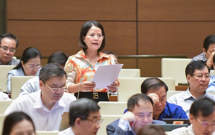 ĐBQH: Tình trạng thông đồng, 'quân xanh, quân đỏ' trong đấu giá ngày càng tinh vi, phức tạp- Ảnh 2. ĐBQH: Tình trạng thông đồng, 'quân xanh, quân đỏ' trong đấu giá ngày càng tinh vi, phức tạp- Ảnh 2.