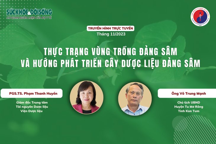 Truyền hình trực tuyến: Thực trạng vùng trồng đảng sâm và hướng phát triển cây dược liệu đảng sâm- Ảnh 1. Truyền hình trực tuyến: Thực trạng vùng trồng đảng sâm và hướng phát triển cây dược liệu đảng sâm- Ảnh 1.