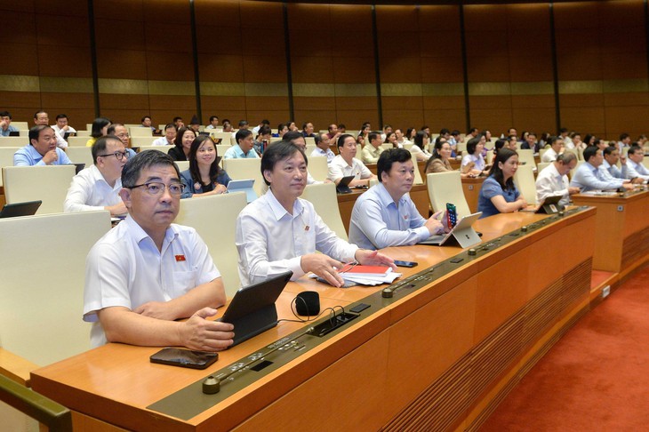 Quốc hội thảo dành cả ngày thảo luận trước khi thông qua dự án Luật Đất đai (sửa đổi) - Ảnh 3.
