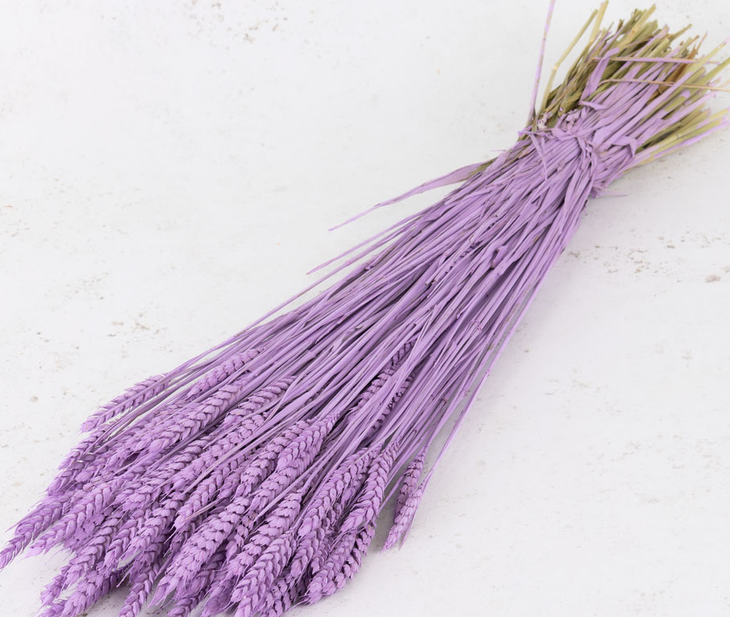 Loại mì chứa chất chống oxy hóa lạ hơn mì thanh long- Ảnh 1.