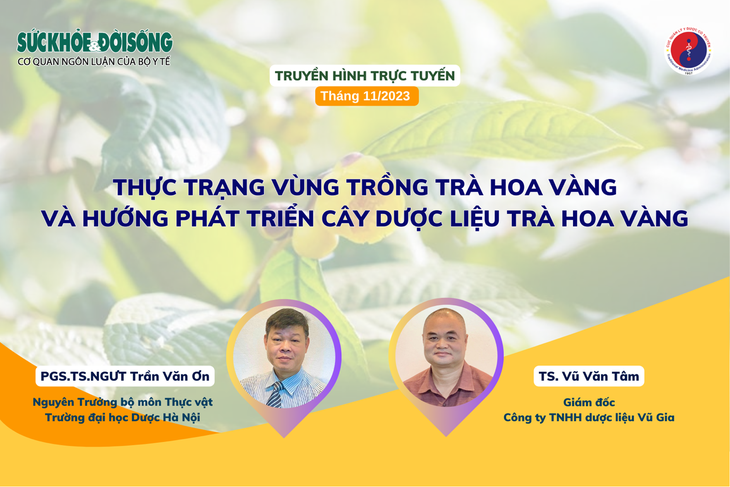 Truyền hình trực tuyến: Thực trạng vùng trồng trà hoa vàng và hướng phát triển cây dược liệu trà hoa vàng - Ảnh 1.