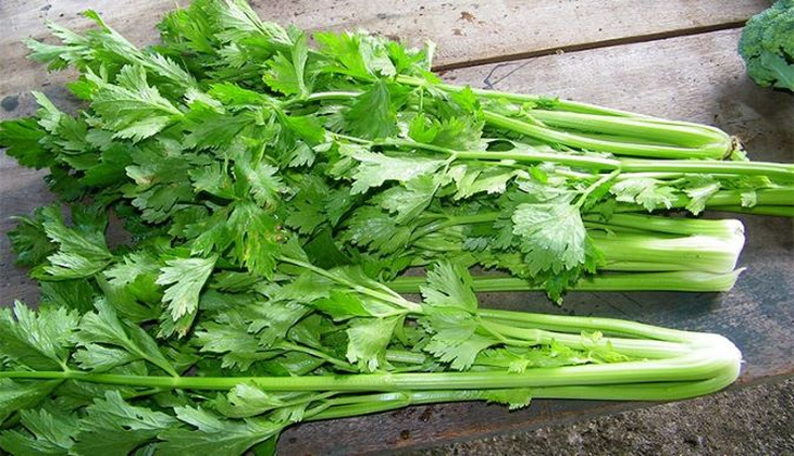 3 điều cần lưu ý khi dùng nước ép cần tây - Ảnh 1.