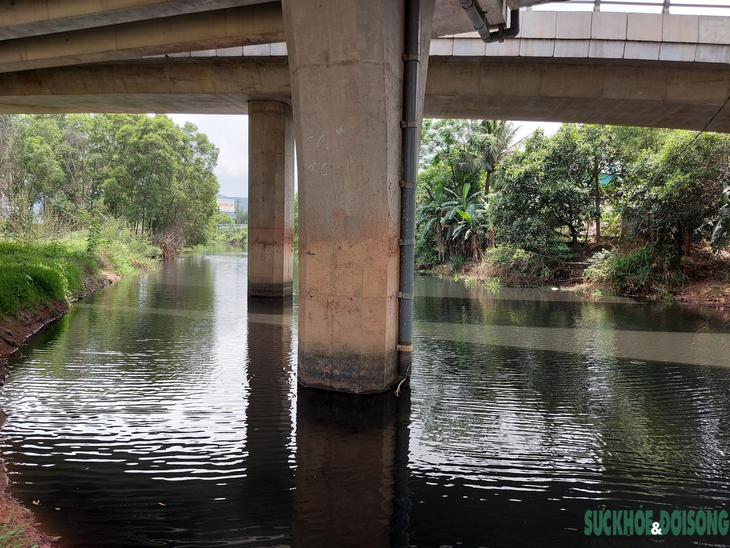 Ô nhiễm bao vây di tích kênh nhà Lê - Ảnh 4.