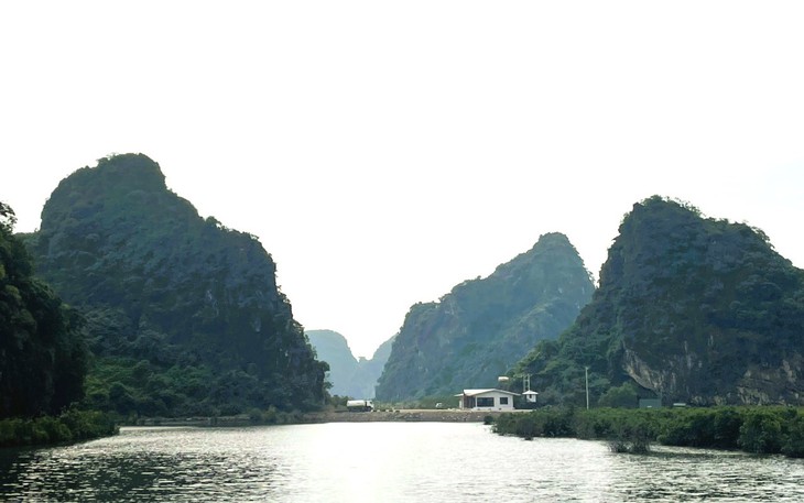 Chủ đầu tư dự án lấn vùng đệm vịnh Hạ Long bị xử phạt