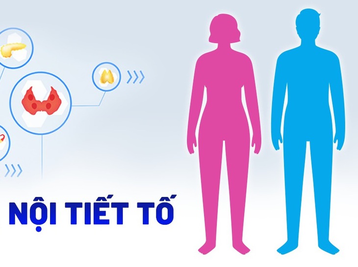 Nội tiết tố nữ là hormone sinh dục được tiết ra chủ yếu từ buồng trứng và một phần ở tuyến thượng thận, nhau thai.