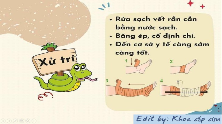 Bé 10 tuổi nhập viện nguy kịch do đắp thuốc nam chữa rắn độc cắn - Ảnh 2.