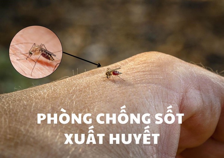 Cảnh báo dịch sốt xuất huyết bùng phát tại thời điểm giao mùa - Ảnh 1.