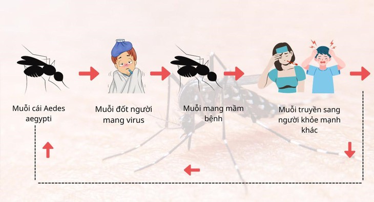 Cảnh báo dịch sốt xuất huyết bùng phát tại thời điểm giao mùa - Ảnh 2.