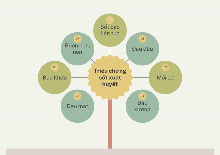 Cảnh báo dịch sốt xuất huyết bùng phát tại thời điểm giao mùa - Ảnh 3.