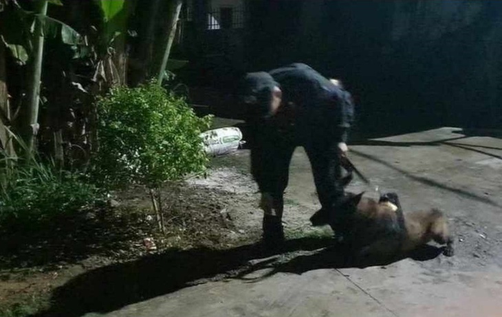 Vụ cháu bé 2 tuổi ở Nghệ An mất tích: Huy động mọi lực lượng, mở rộng thêm địa bàn tìm kiếm- Ảnh 2.