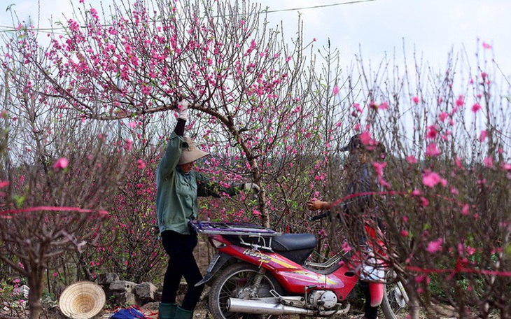 Hà Nội tăng cường bảo đảm trật tự, an toàn giao thông dịp Tết