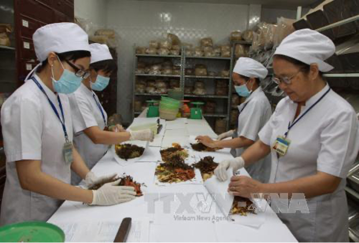 Các BVĐK nhà nước phải tổ chức khám, chữa bệnh bằng y học cổ truyền- Ảnh 1.