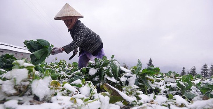Đợt rét sắp tới kéo dài nhiều ngày, cường độ cực kỳ mạnh- Ảnh 2.