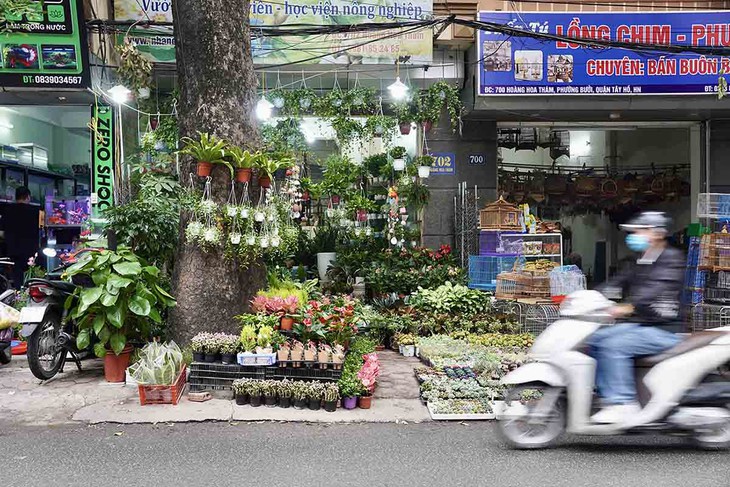 Gần 1 năm ra quân rầm rộ, vỉa hè Hà Nội vẫn bị chiếm dụng ngang nhiên- Ảnh 1. Gần 1 năm ra quân rầm rộ, vỉa hè Hà Nội vẫn bị chiếm dụng ngang nhiên- Ảnh 1.
