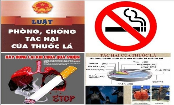 Việt Nam với cam kết toàn cầu thực hiện Công ước Khung về kiểm soát thuốc lá- Ảnh 1.