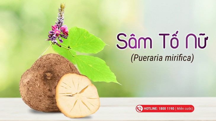 5 dược liệu hỗ trợ tăng cường nội tiết tố, tốt cho phụ nữ- Ảnh 1.