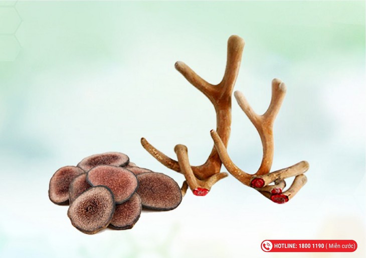 5 dược liệu hỗ trợ tăng cường nội tiết tố, tốt cho phụ nữ- Ảnh 3.