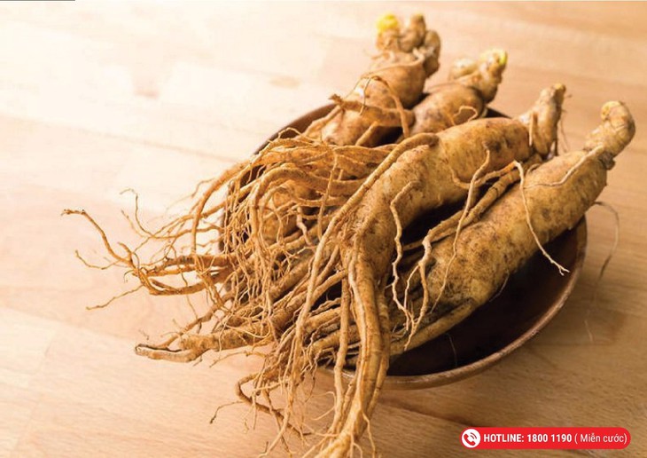 5 dược liệu hỗ trợ tăng cường nội tiết tố, tốt cho phụ nữ- Ảnh 4.