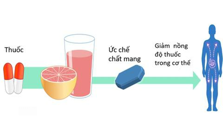 7 loại thuốc phổ biến không dùng cùng nước ép bưởi hoặc ăn bưởi