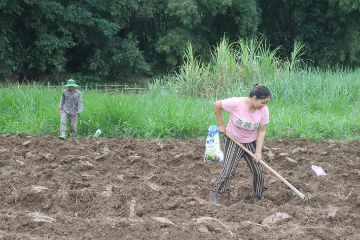 Khó khăn bủa vây ốc đảo bên bờ sông Mã- Ảnh 7.