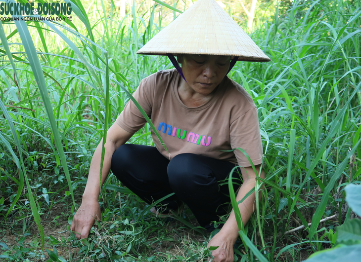 Hàng chục công nhân mắc bệnh bụi phổi ở Nghệ An: Sống trong nghèo khó và nỗi lo bệnh tật- Ảnh 1.
