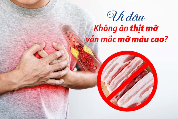 Nhiều người gây nhưng có lối sống không lành mạnh, ăn nhiều thức ăn nhanh chứa nhiều dầu mỡ, lười vận động thì nguy cơ mắc máu nhiễm mỡ cũng cao hơn. Ảnh minh họa