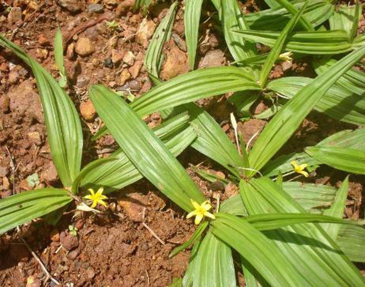 photo-1702624442242