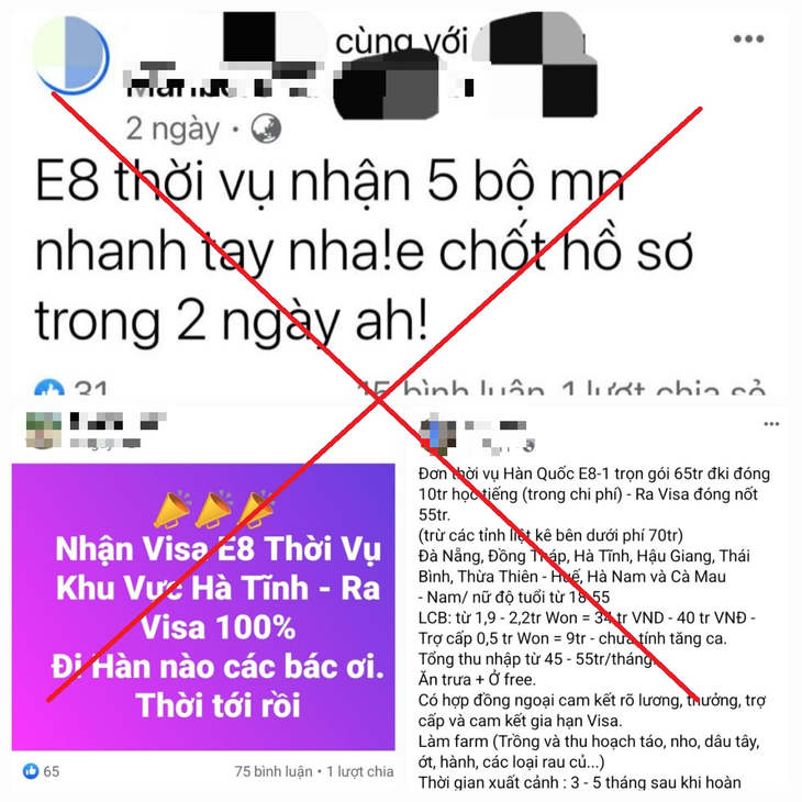Cảnh báo 'bẫy' lao động đi làm việc thời vụ tại Hàn Quốc- Ảnh 1.