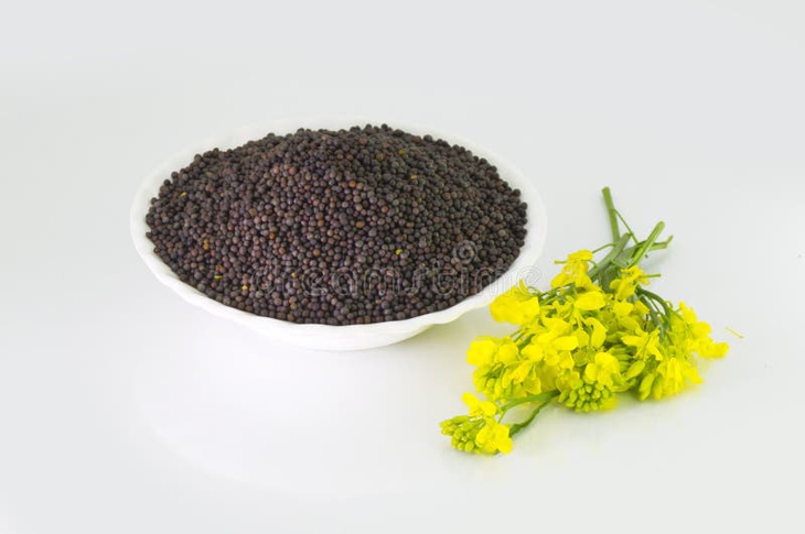 Cải xanh - cây rau, cây thuốc chữa bệnh- Ảnh 2. Cải xanh - cây rau, cây thuốc chữa bệnh- Ảnh 2.