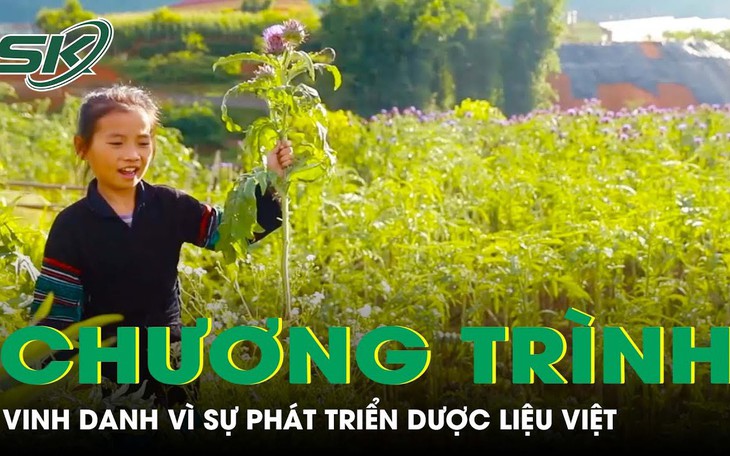 20h tối nay, truyền hình trực tiếp Lễ Vinh danh vì sự phát triển dược liệu Việt