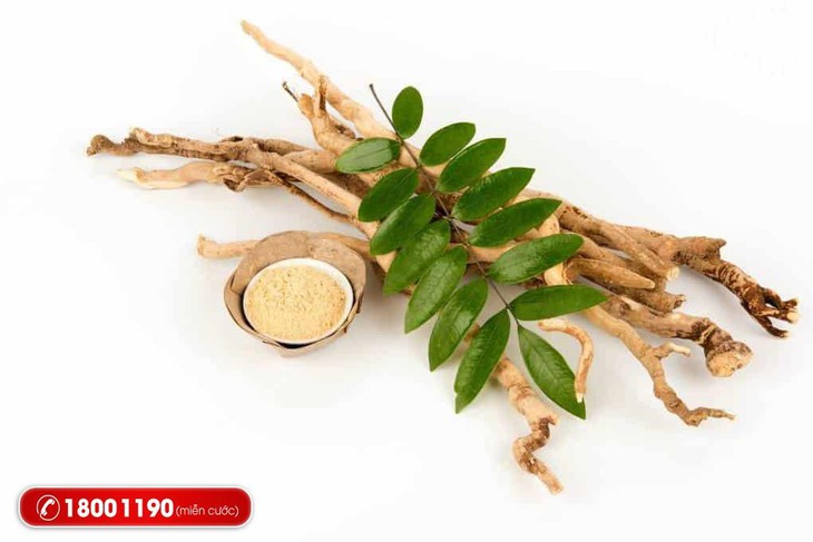 5 dược liệu hỗ trợ giải độc và tăng cường chức năng gan tốt- Ảnh 6.