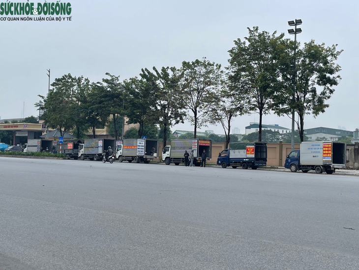 Nhức nhối 'bến cóc' ngang nhiên hoạt động tấp nập, chính quyền sở tại có biết?- Ảnh 2.