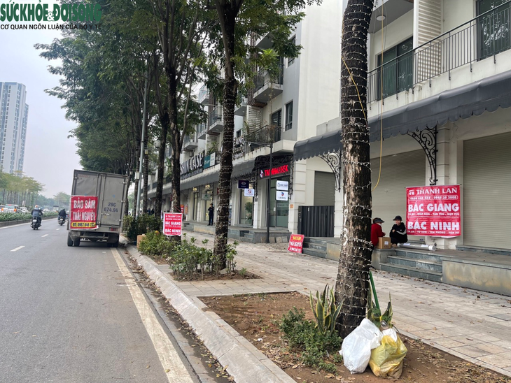 Nhức nhối 'bến cóc' ngang nhiên hoạt động tấp nập, chính quyền sở tại có biết?- Ảnh 6.