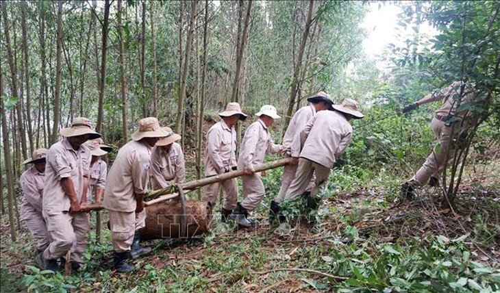 Di dời an toàn ba quả bom lớn sót lại sau chiến tranh ở Quảng Bình- Ảnh 2. Di dời an toàn ba quả bom lớn sót lại sau chiến tranh ở Quảng Bình- Ảnh 2.