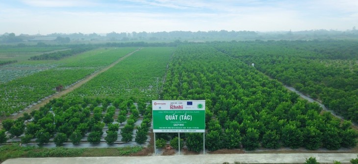 Nam Dược – khẳng định vị trí uy tín bằng xây dựng thương hiệu chất lượng- Ảnh 2. Nam Dược – khẳng định vị trí uy tín bằng xây dựng thương hiệu chất lượng- Ảnh 2.