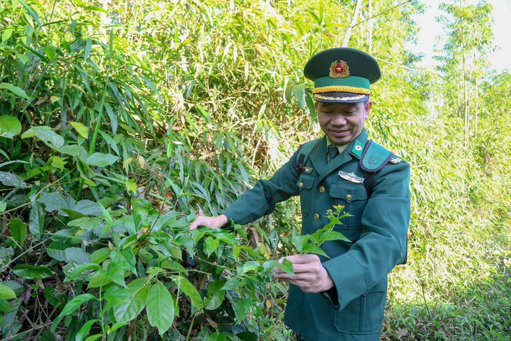 Bác sĩ mang quân hàm xanh với bài thuốc 'trị' ... độc do ăn lá ngón- Ảnh 2. Bác sĩ mang quân hàm xanh với bài thuốc 'trị' ... độc do ăn lá ngón- Ảnh 2.